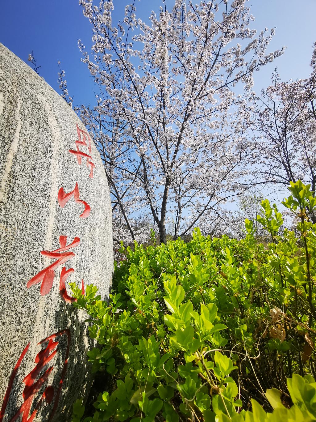 开元棋牌官网